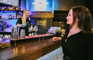 Sorin Baari kuva 18